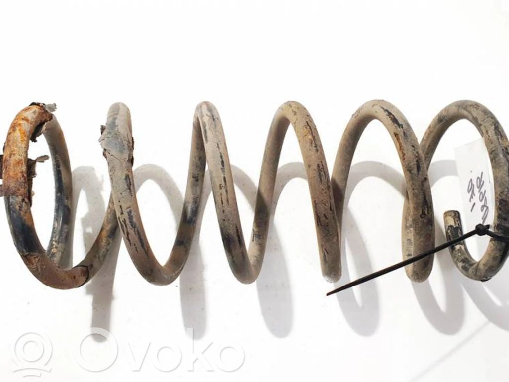 Rear coil spring