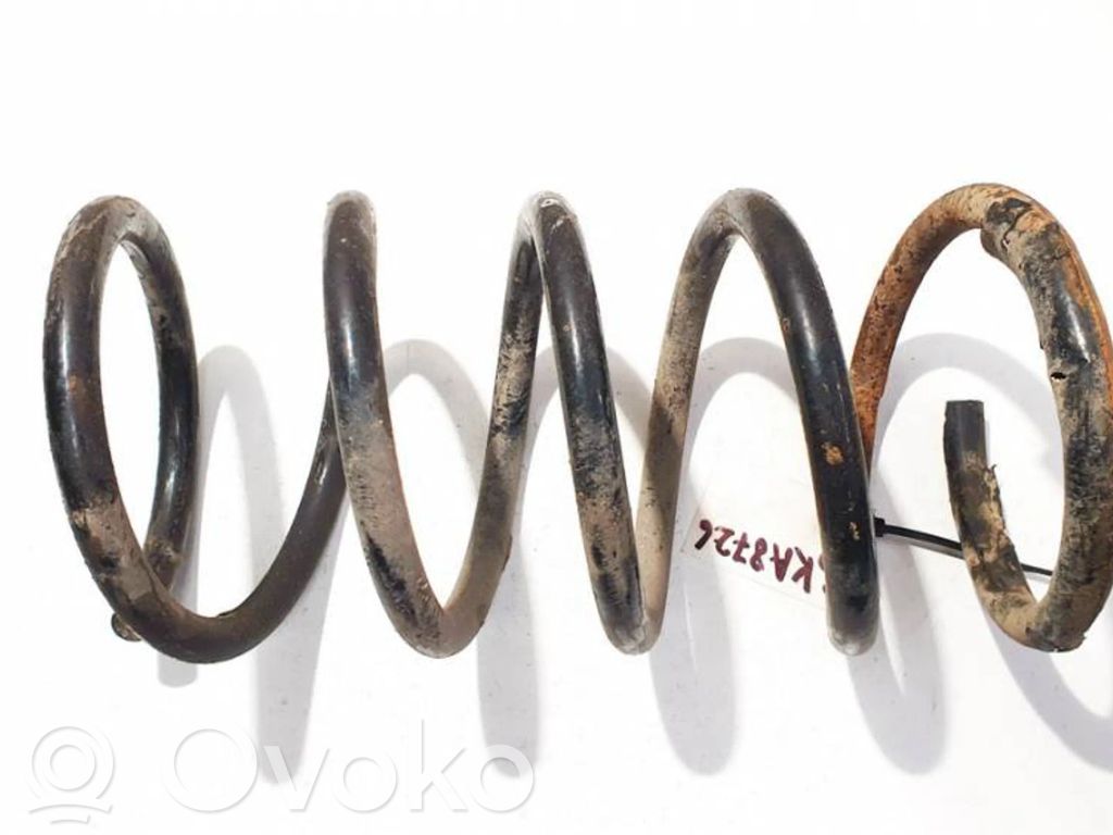 Rear coil spring