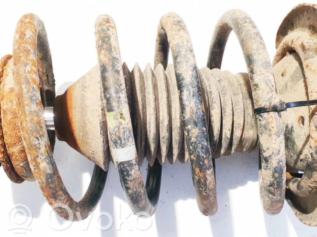 Front coil spring