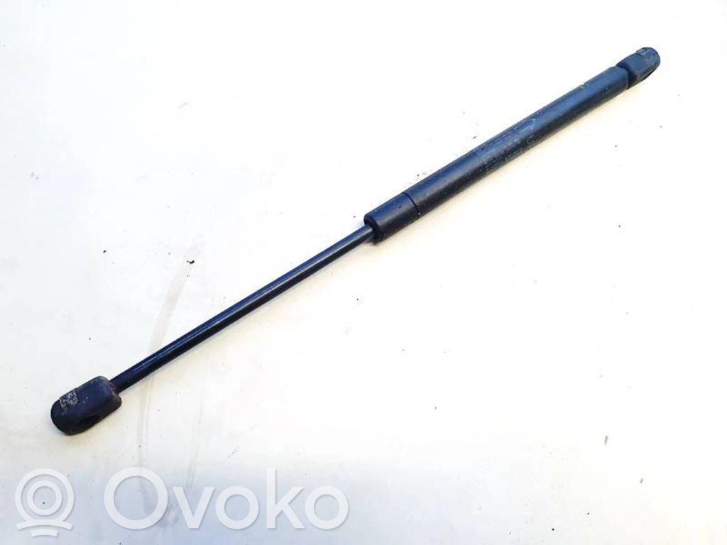 Tailgate/trunk strut/damper