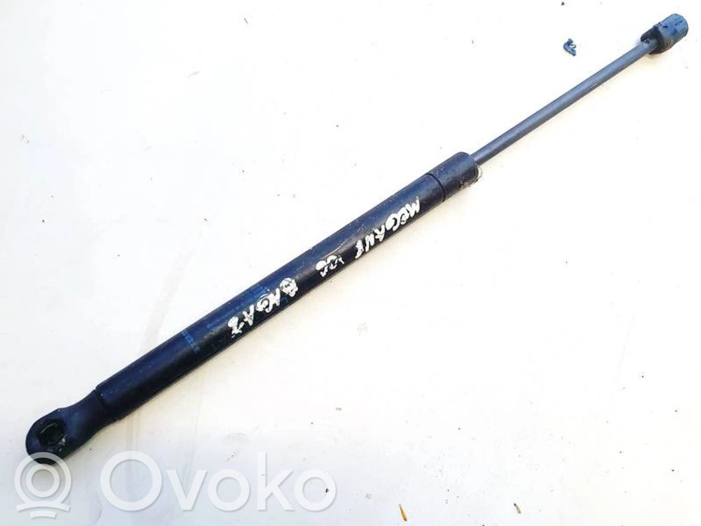Amortizor hayon