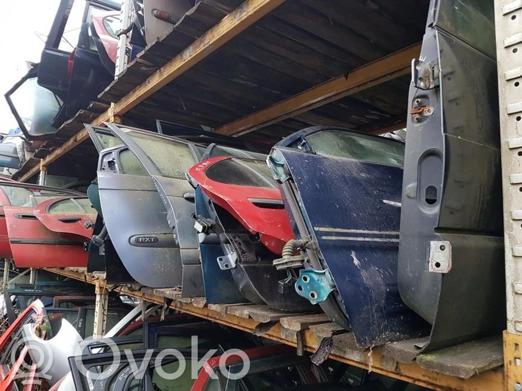 Renault Megane I Tür vorne