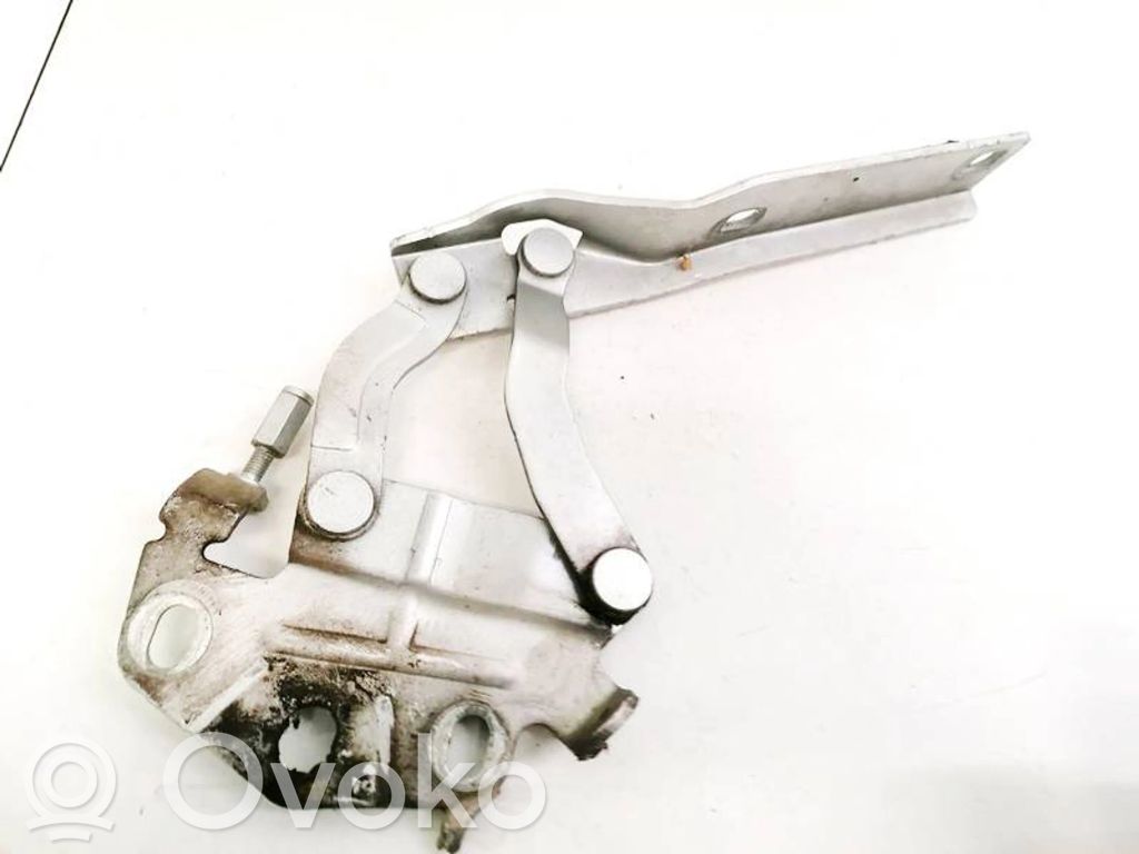 Volkswagen PASSAT B7 Balamale capotă 