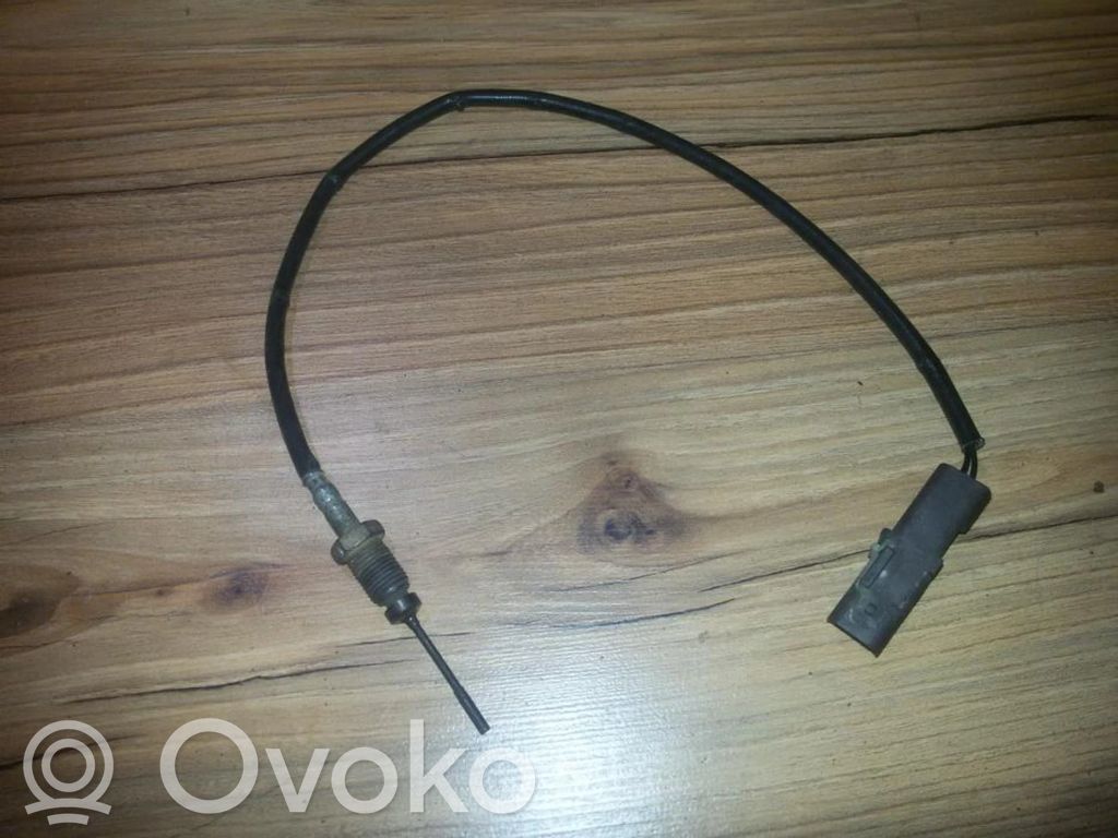 Citroen C6 Senzor temperatură gaze eșapament 
