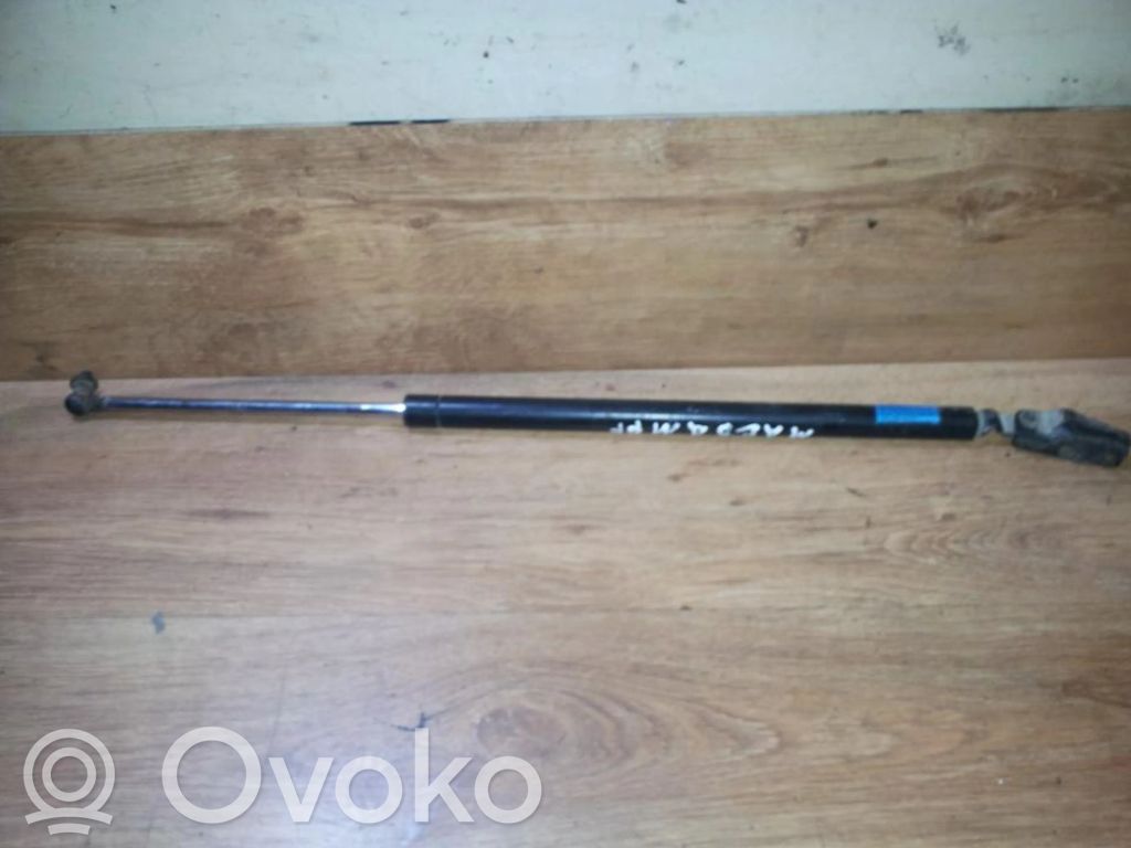 Tailgate/trunk strut/damper