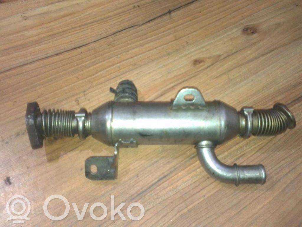 Citroen C5 Răcitor supapă EGR 