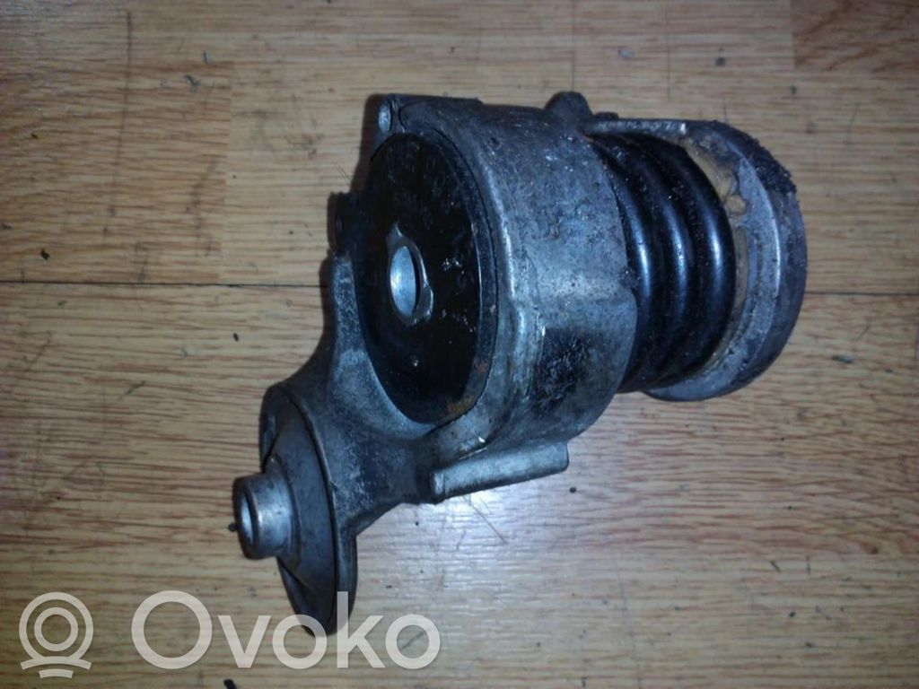 Seat Ibiza III (6L) Napinacz paska alternatora 