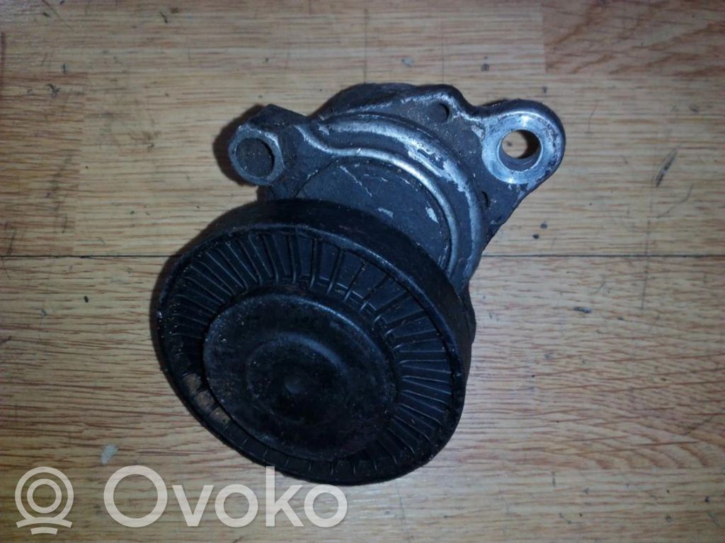 Land Rover Freelander Tendicinghia generatore/alternatore 
