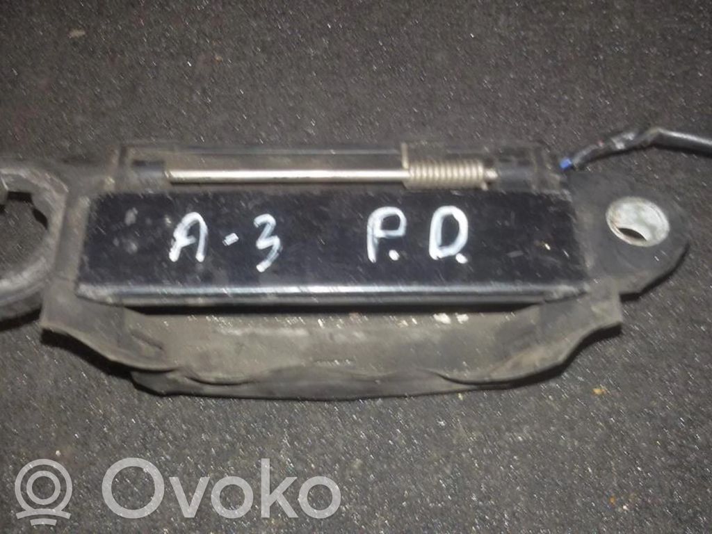 Audi A3 S3 8L Mâner exterior ușă față 