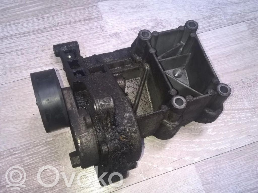 BMW 3 E46 Tendicinghia generatore/alternatore 