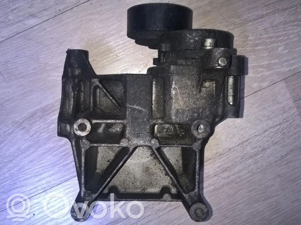 BMW 3 E46 Tendicinghia generatore/alternatore 