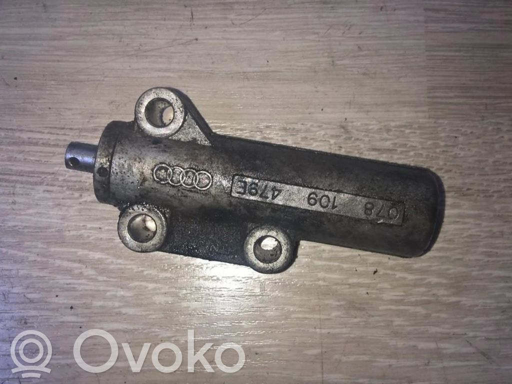 Audi A6 S6 C5 4B Întinzător curea generator/alternator 