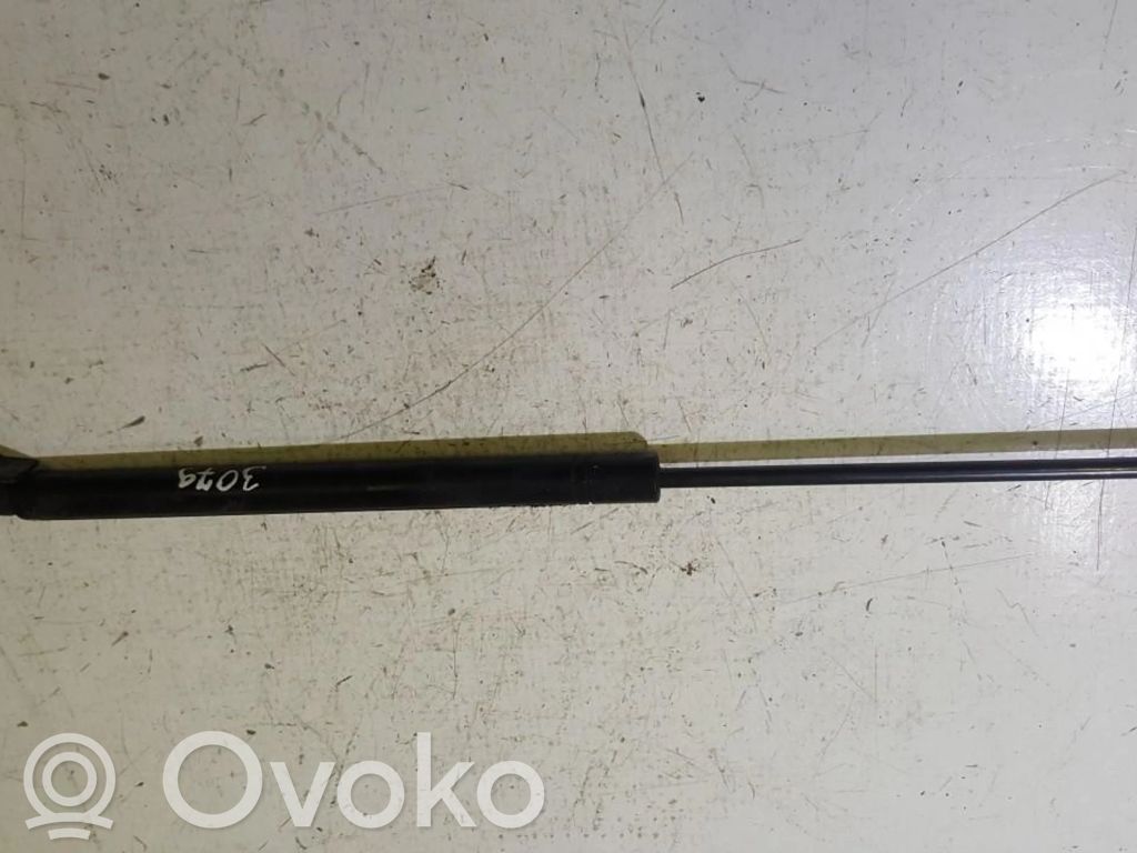 Opel Omega B1 Amortiguador/puntal del maletero/compartimento de carga 