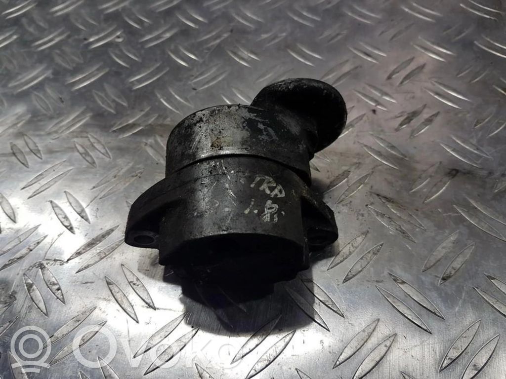 Întinzător curea generator/alternator   24412292,24412292