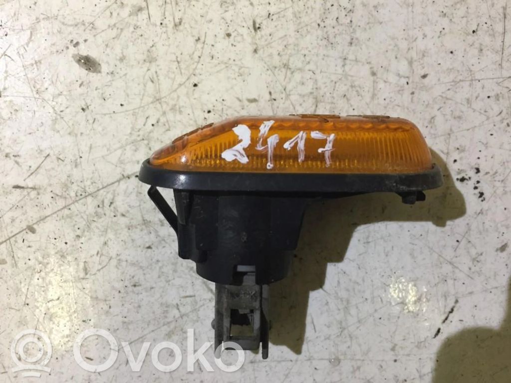 Front fender indicator light