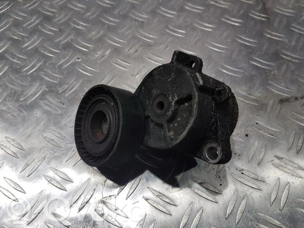 BMW 5 E34 Tendicinghia generatore/alternatore 