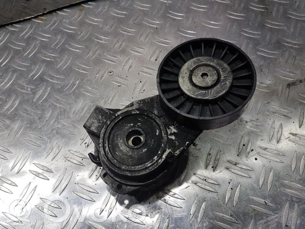 Tendicinghia generatore/alternatore