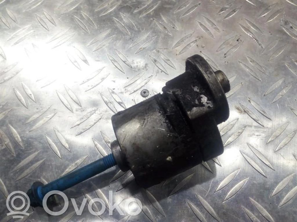 Ford Escort Diržo įtempėjas 