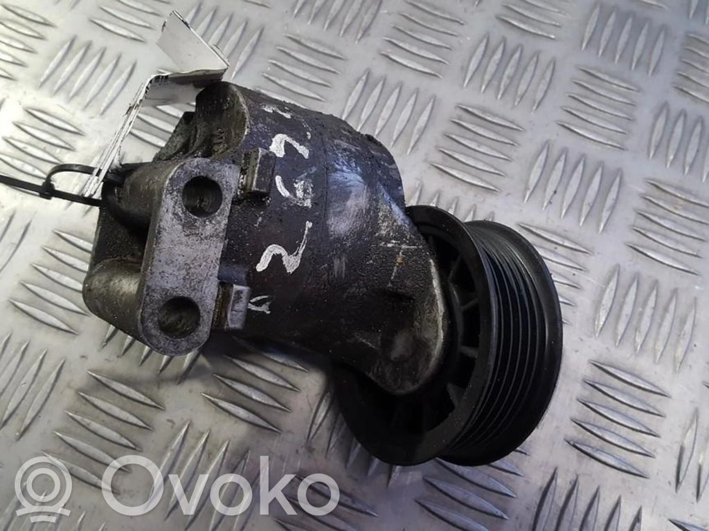 Opel Sintra Întinzător curea generator/alternator 