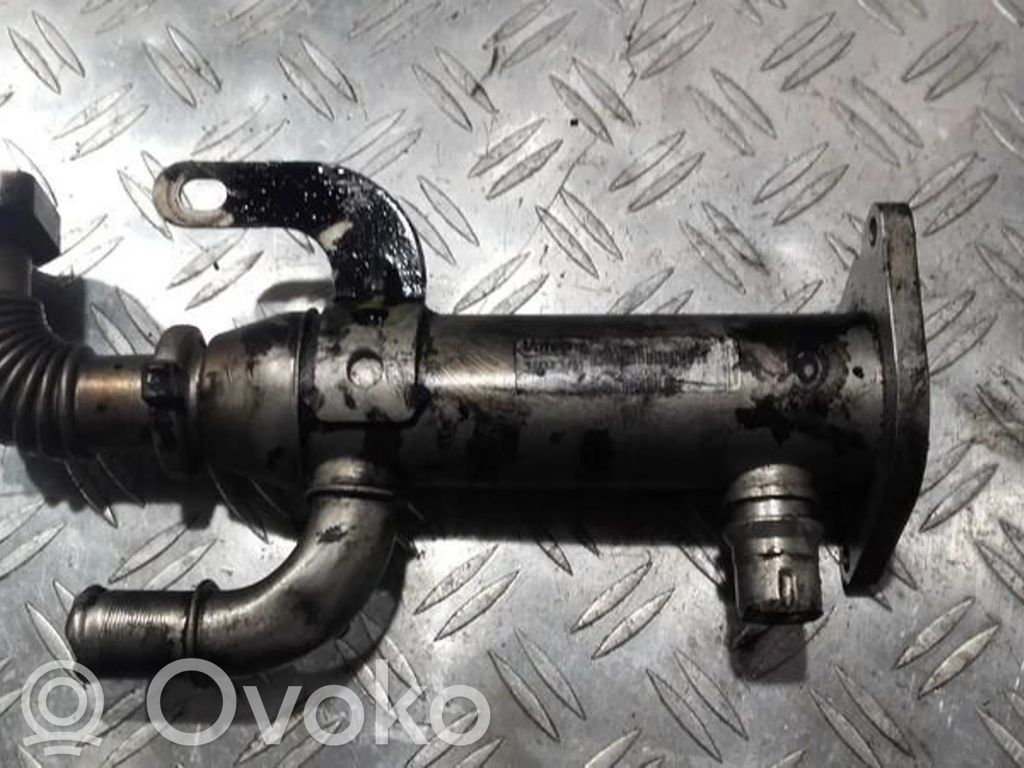 Volvo V50 Valvola di raffreddamento EGR 