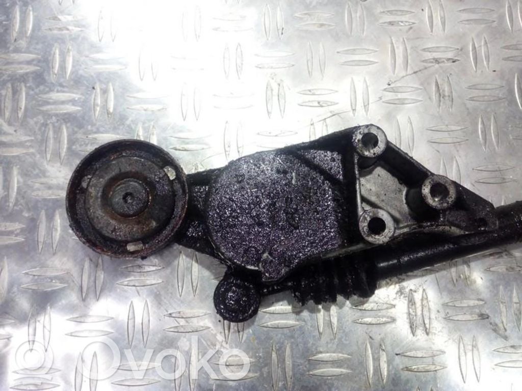 Seat Toledo II (1M) Întinzător curea generator/alternator 