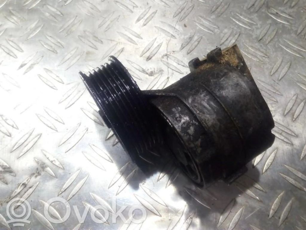 Opel Sintra Întinzător curea generator/alternator 