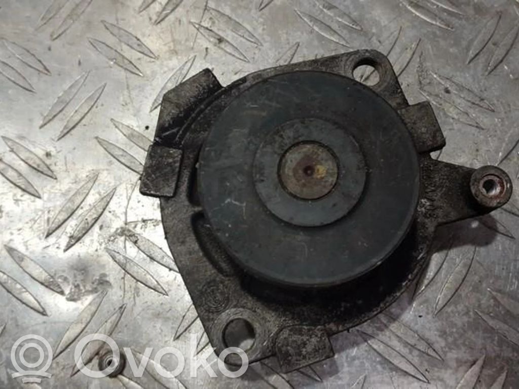 Vandens pompa   301372,301372