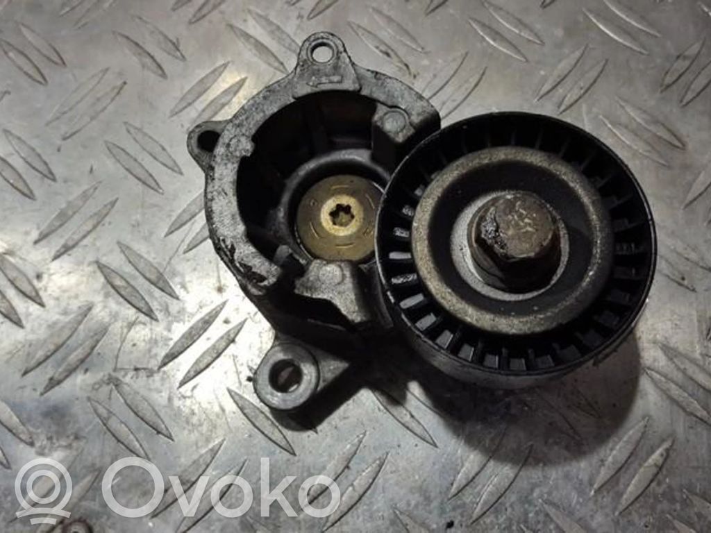 Citroen C5 Napinacz paska alternatora 