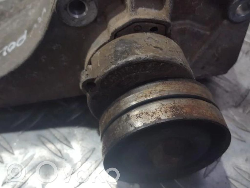 Volkswagen Polo III 6N 6N2 6NF Întinzător curea generator/alternator 