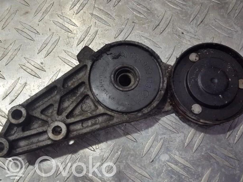 Volkswagen PASSAT B5 Tendicinghia generatore/alternatore 