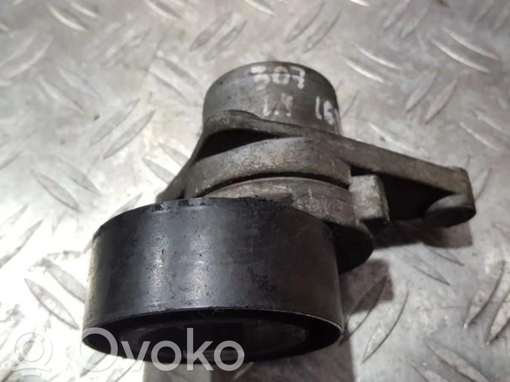 Peugeot 307 Întinzător curea generator/alternator 