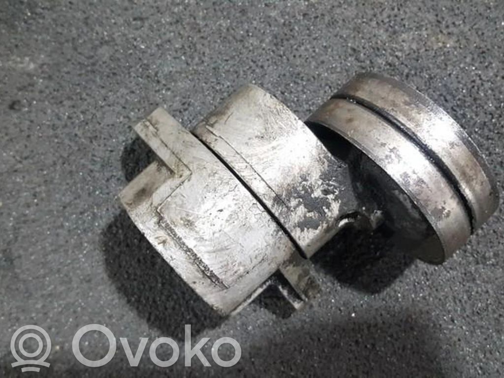 Tendicinghia generatore/alternatore   90500229AA,90500229AA