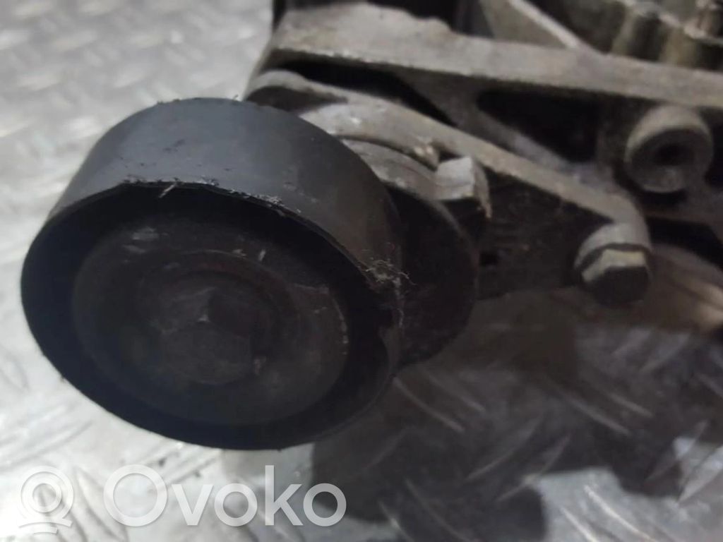 Peugeot 307 Întinzător curea generator/alternator 