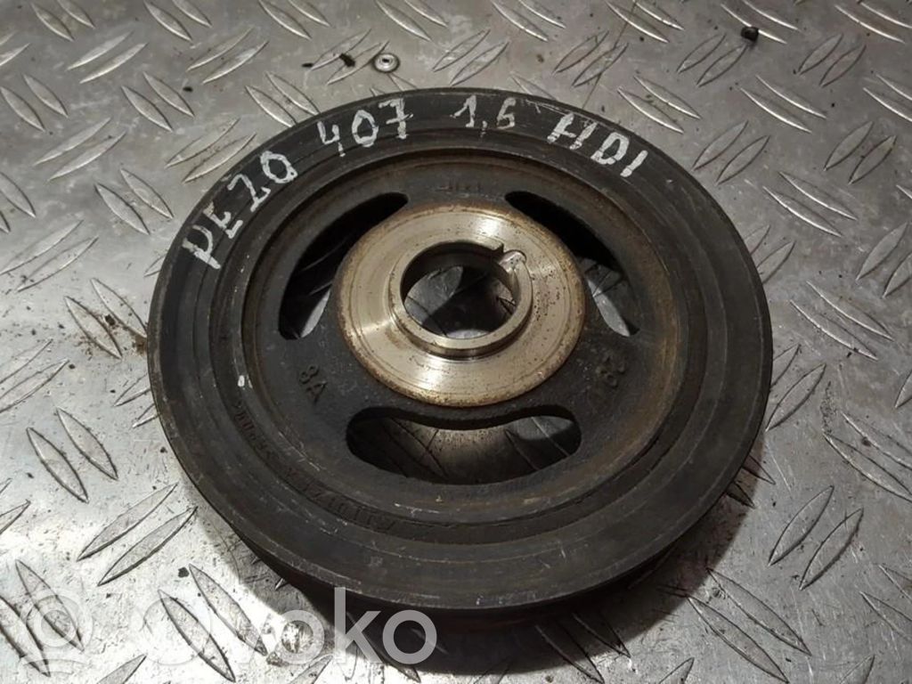 Peugeot 407 Fulie vibrochen 