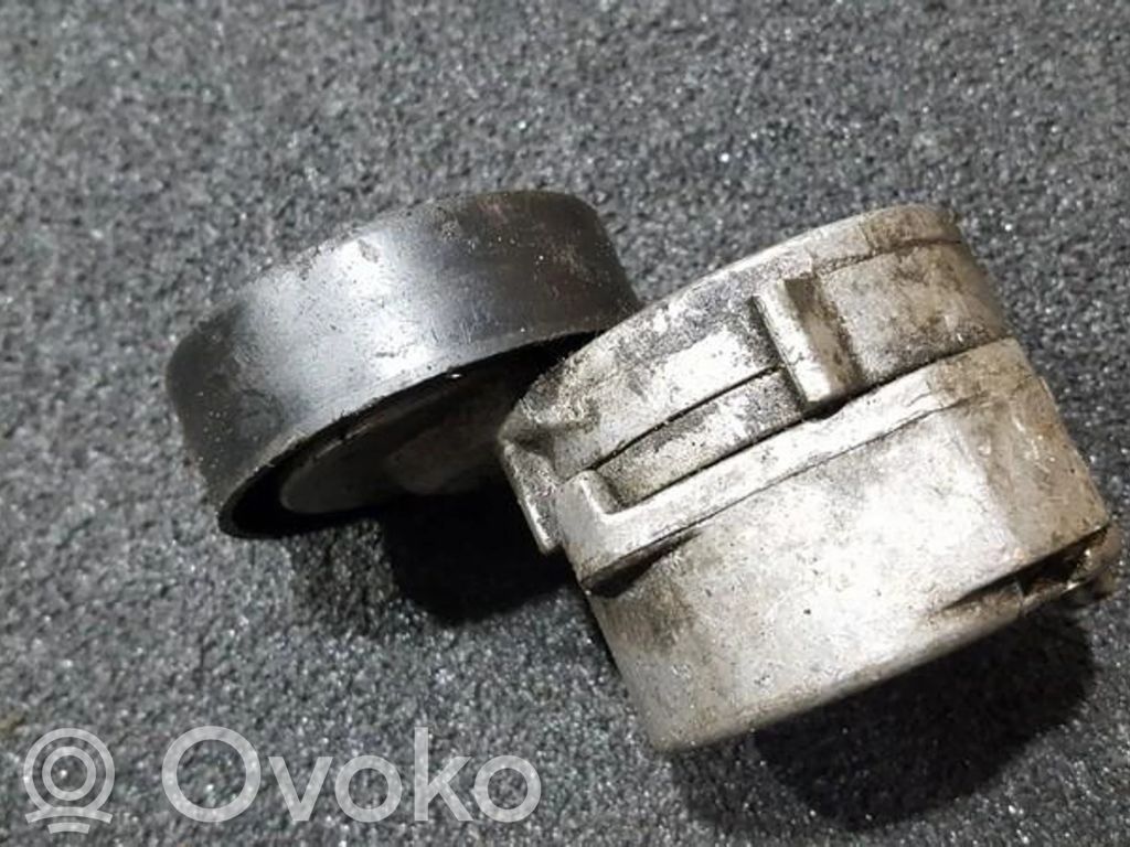Tensor de correa del alternador   PQG100190,PQG100190