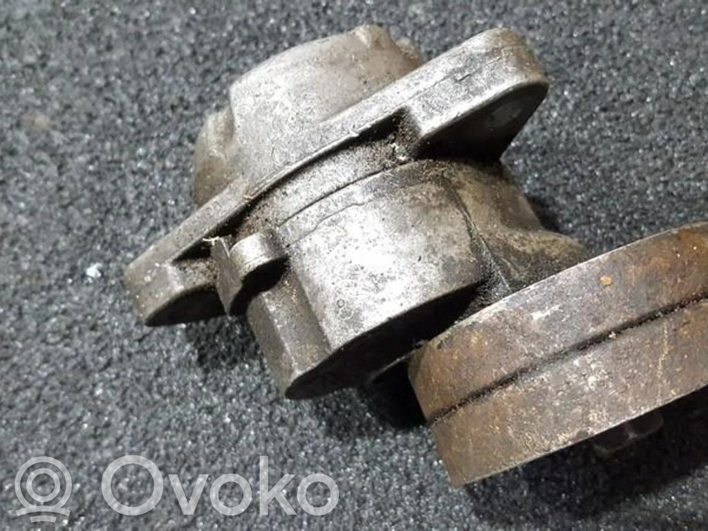 Tensor de correa del alternador   90500229AA,90500229AA