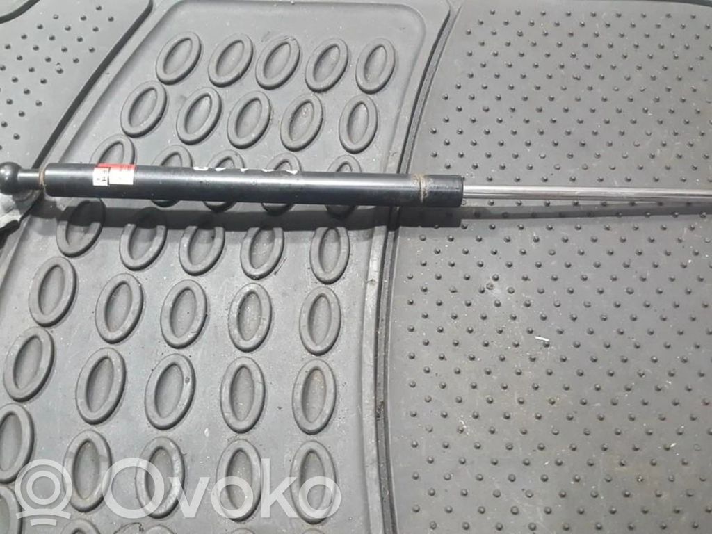 Tailgate/trunk strut/damper