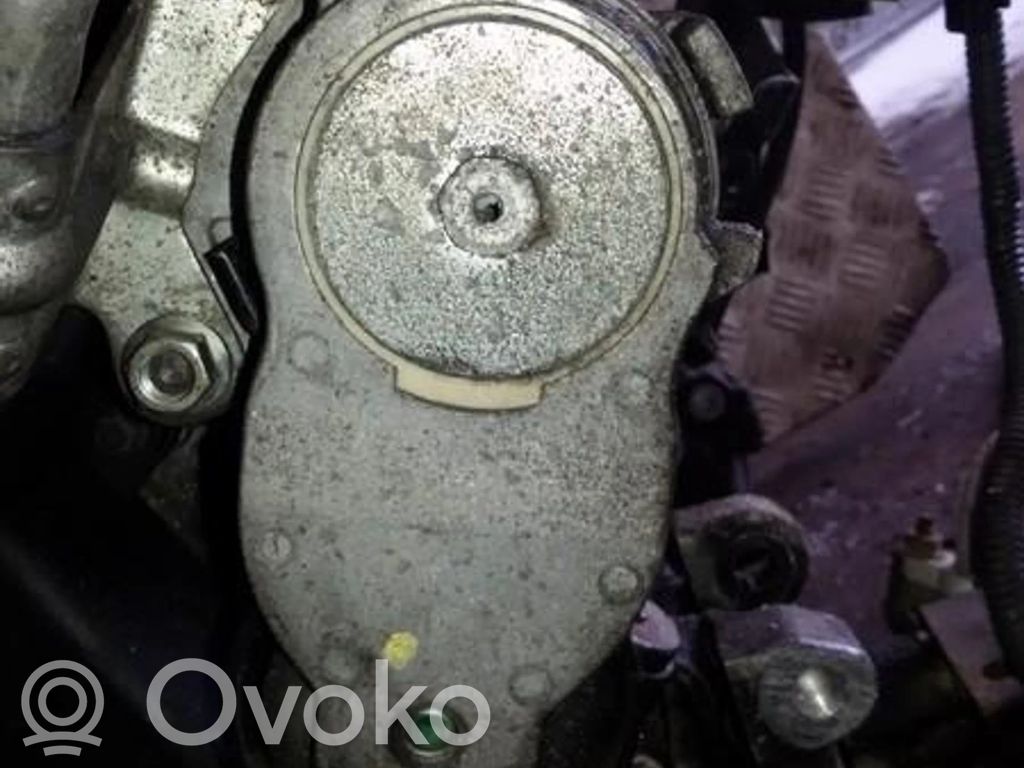 Suzuki SX4 Tendicinghia generatore/alternatore