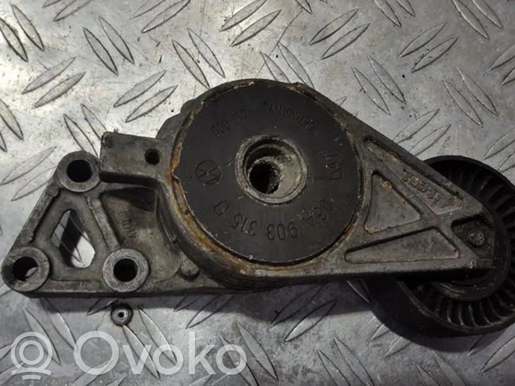Audi A3 S3 8L Întinzător curea generator/alternator 