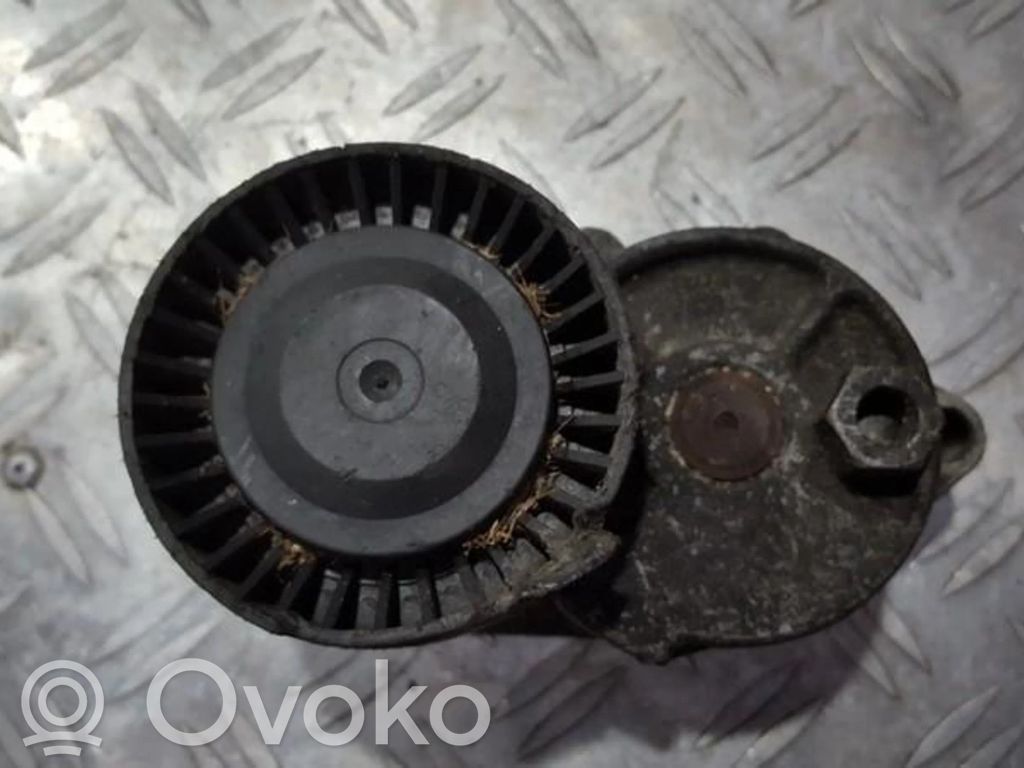 BMW 5 E39 Întinzător curea generator/alternator 