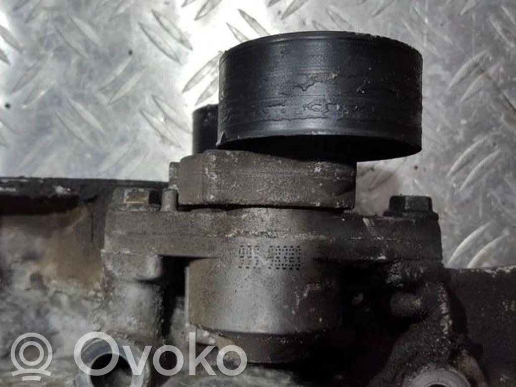 Tensor de correa del alternador   7700102872,7700102872