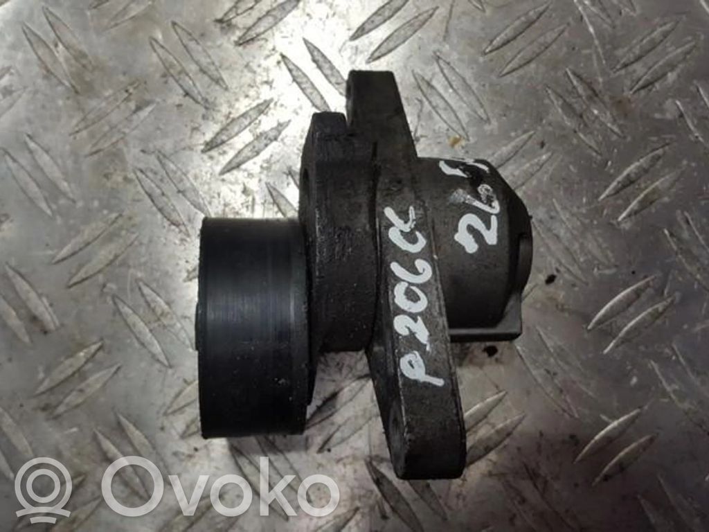 Peugeot 206 Tensor de correa del alternador 