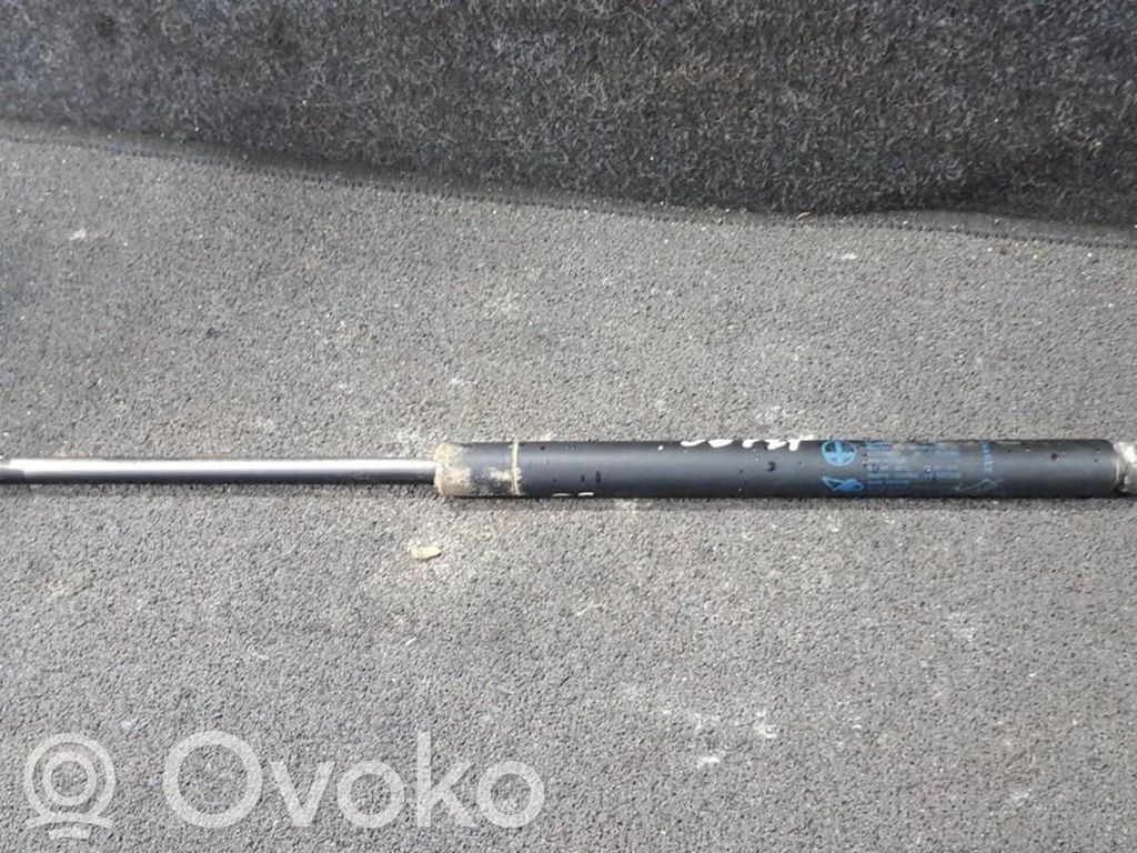 Tailgate/trunk strut/damper