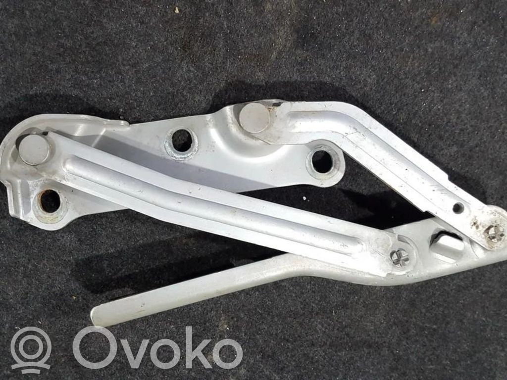 Engine bonnet/hood hinges