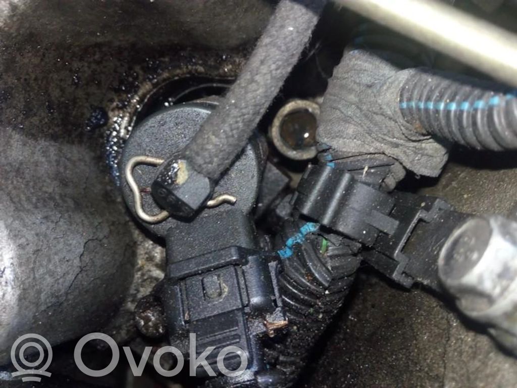 Injector combustibil   0445110002,0445110002