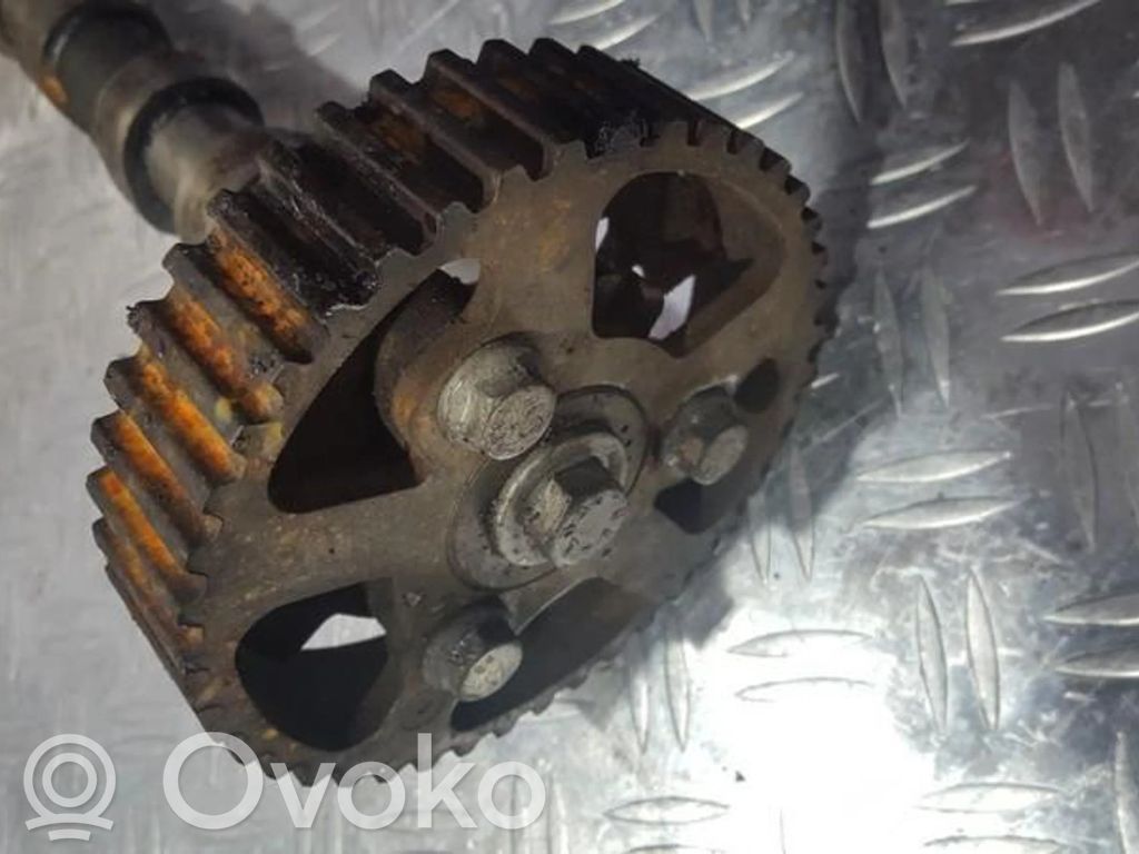 Peugeot 307 Koło pasowe wałka rozrządu / VANOS 