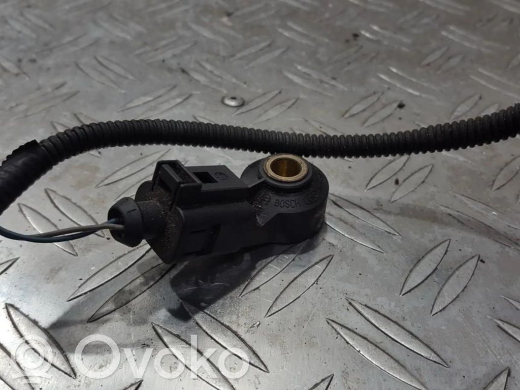 Sensor de petardeo del motor   0261231146,0261231146
