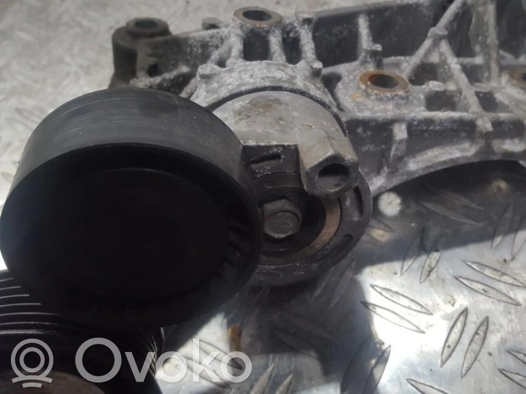 Nissan Note (E11) Tendicinghia generatore/alternatore