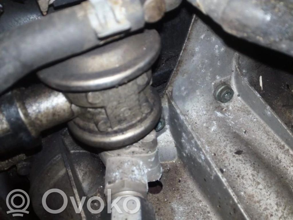 Válvula EGR   06A131351,06A131351