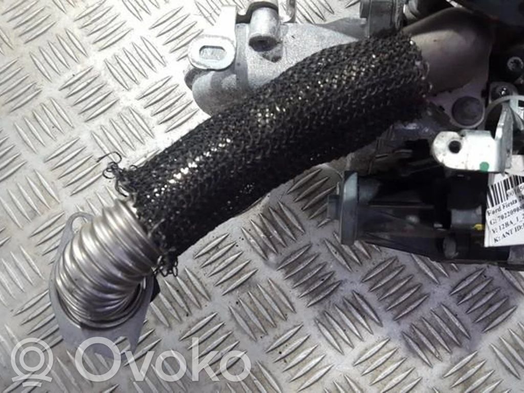 Ford Fiesta Linea/tubo flessibile della valvola EGR